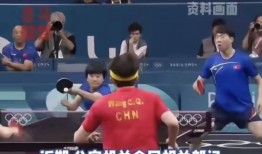 体育界饭圈文化