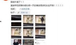 爆料黑料,爆料黑料背后的真相与反思